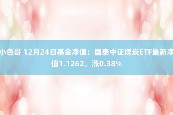 小色哥 12月24日基金净值：国泰中证煤炭ETF最新净值1.1262，涨0.38%