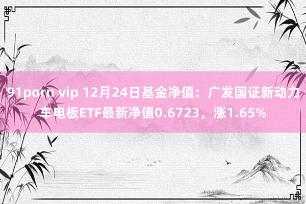 91porn vip 12月24日基金净值：广发国证新动力车电板ETF最新净值0.6723，涨1.65%