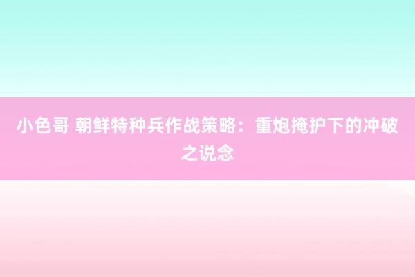 小色哥 朝鲜特种兵作战策略：重炮掩护下的冲破之说念