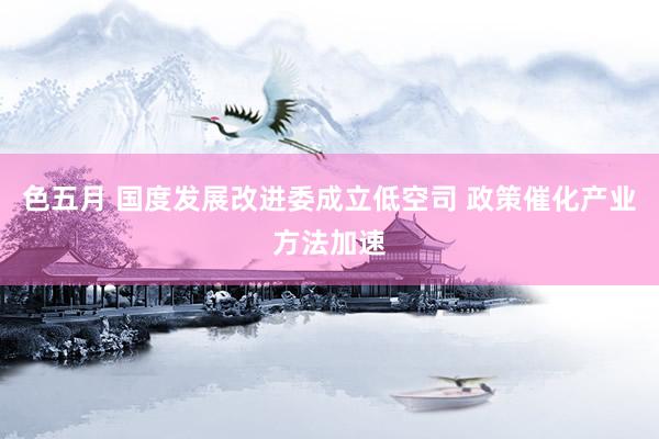 色五月 国度发展改进委成立低空司 政策催化产业方法加速