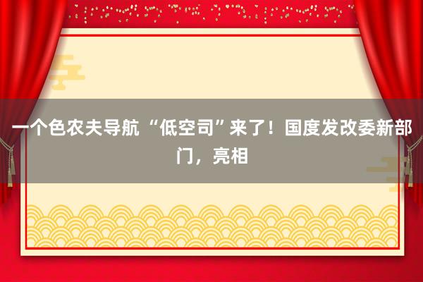 一个色农夫导航 “低空司”来了！国度发改委新部门，亮相
