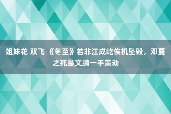 姐妹花 双飞 《冬至》若非江成屹俟机坠毁，邓蔓之死是文鹏一手策动