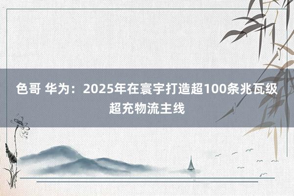 色哥 华为：2025年在寰宇打造超100条兆瓦级超充物流主线