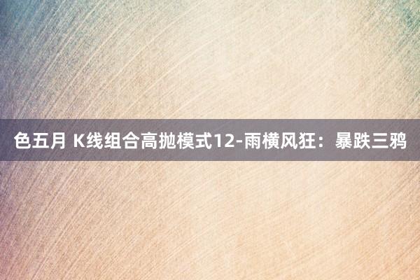 色五月 K线组合高抛模式12-雨横风狂：暴跌三鸦