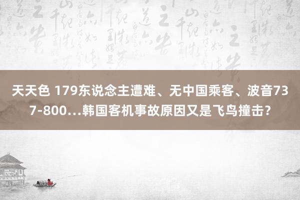 天天色 179东说念主遭难、无中国乘客、波音737-800…韩国客机事故原因又是飞鸟撞击？