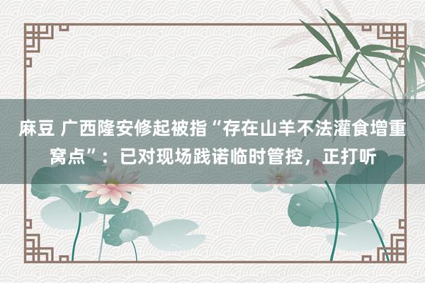麻豆 广西隆安修起被指“存在山羊不法灌食增重窝点”：已对现场践诺临时管控，正打听