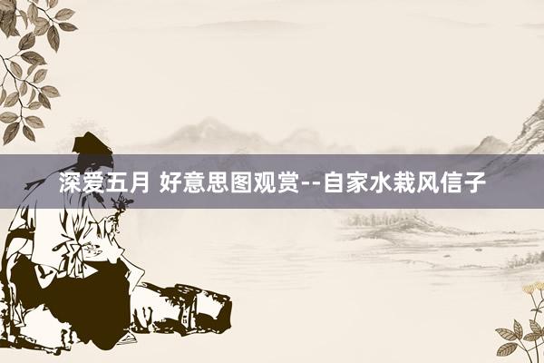 深爱五月 好意思图观赏--自家水栽风信子