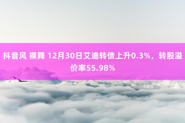 抖音风 裸舞 12月30日艾迪转债上升0.3%，转股溢价率55.98%