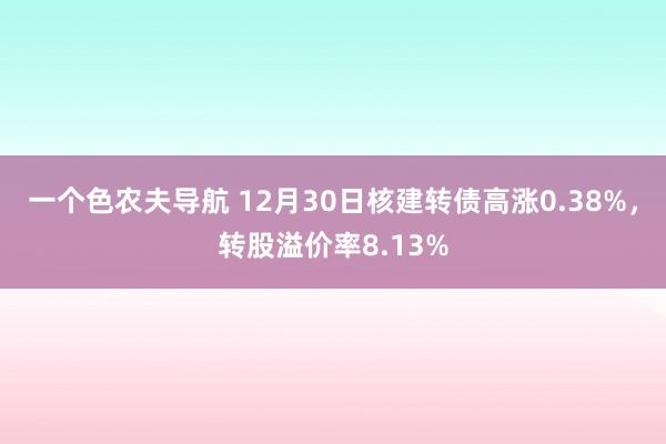 一个色农夫导航 12月30日核建转债高涨0.38%，转股溢价率8.13%