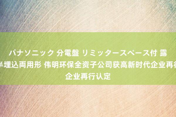 パナソニック 分電盤 リミッタースペース付 露出・半埋込両用形 伟明环保全资子公司获高新时代企业再行认定