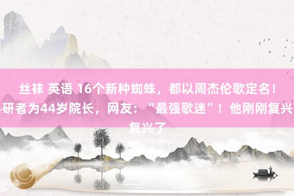 丝袜 英语 16个新种蜘蛛，都以周杰伦歌定名！科研者为44岁院长，网友：“最强歌迷”！他刚刚复兴了