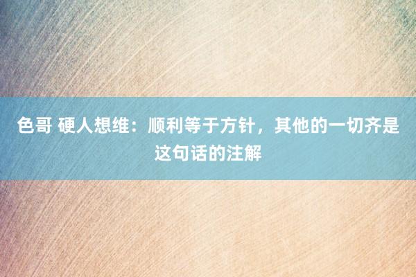 色哥 硬人想维：顺利等于方针，其他的一切齐是这句话的注解
