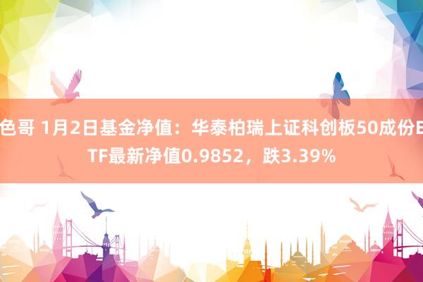 色哥 1月2日基金净值：华泰柏瑞上证科创板50成份ETF最新净值0.9852，跌3.39%