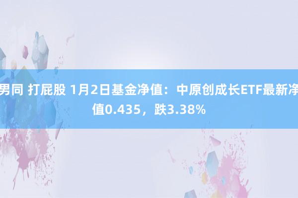 男同 打屁股 1月2日基金净值：中原创成长ETF最新净值0.435，跌3.38%