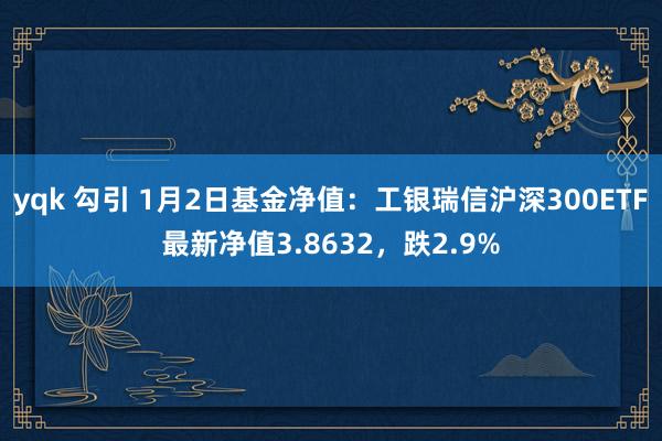 yqk 勾引 1月2日基金净值：工银瑞信沪深300ETF最新净值3.8632，跌2.9%