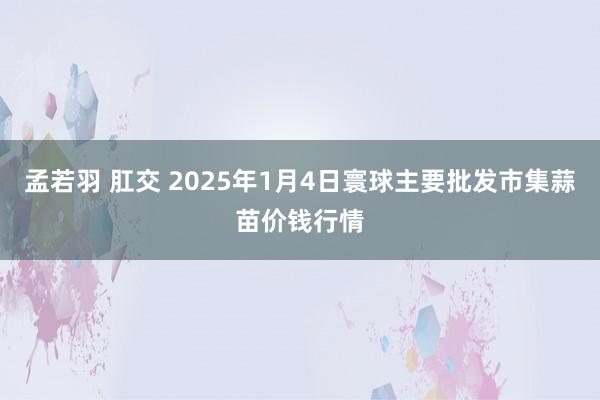 孟若羽 肛交 2025年1月4日寰球主要批发市集蒜苗价钱行情