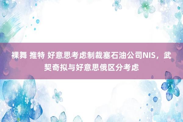 裸舞 推特 好意思考虑制裁塞石油公司NIS，武契奇拟与好意思俄区分考虑