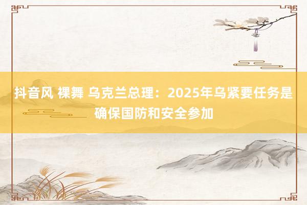 抖音风 裸舞 乌克兰总理：2025年乌紧要任务是确保国防和安全参加