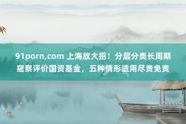91porn，com 上海放大招！分层分类长周期窥察评价国资基金，五种情形适用尽责免责