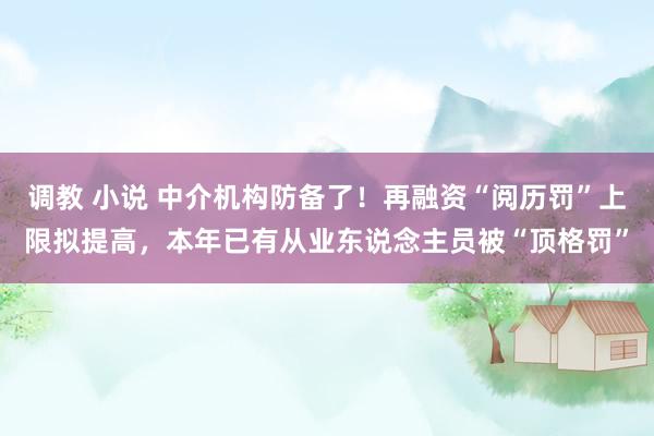 调教 小说 中介机构防备了！再融资“阅历罚”上限拟提高，本年已有从业东说念主员被“顶格罚”