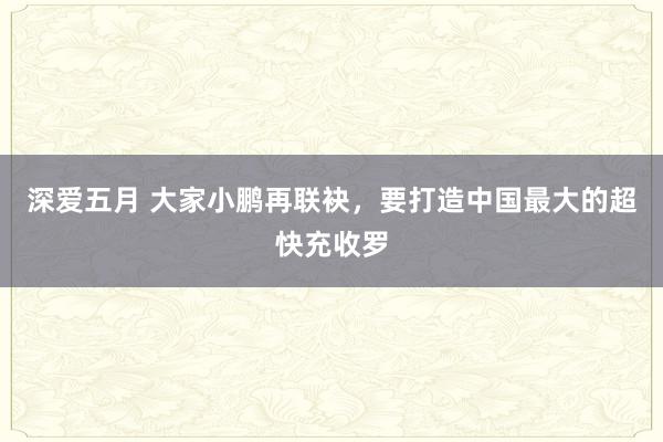 深爱五月 大家小鹏再联袂，要打造中国最大的超快充收罗