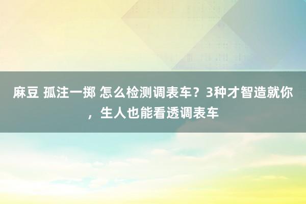 麻豆 孤注一掷 怎么检测调表车？3种才智造就你，生人也能看透调表车