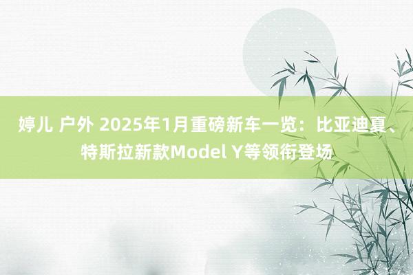 婷儿 户外 2025年1月重磅新车一览：比亚迪夏、特斯拉新款Model Y等领衔登场