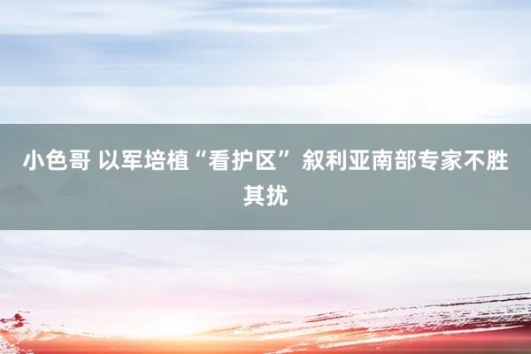 小色哥 以军培植“看护区” 叙利亚南部专家不胜其扰