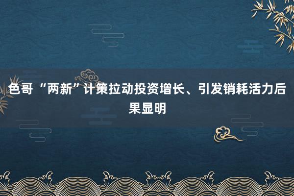 色哥 “两新”计策拉动投资增长、引发销耗活力后果显明