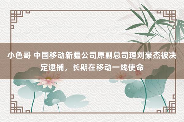 小色哥 中国移动新疆公司原副总司理刘豪杰被决定逮捕，长期在移动一线使命