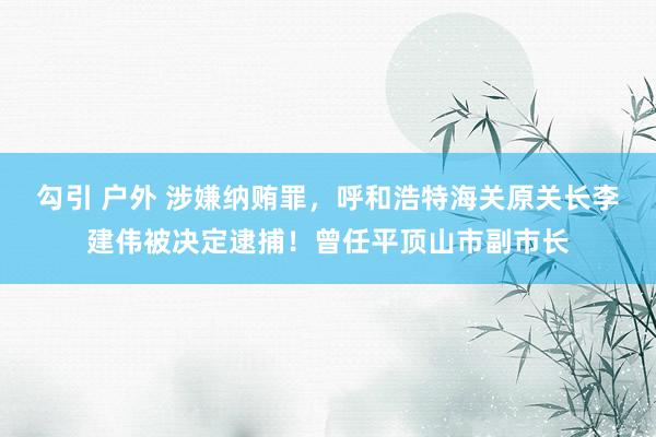 勾引 户外 涉嫌纳贿罪，呼和浩特海关原关长李建伟被决定逮捕！曾任平顶山市副市长
