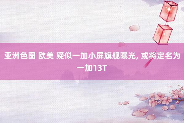 亚洲色图 欧美 疑似一加小屏旗舰曝光， 或将定名为一加13T