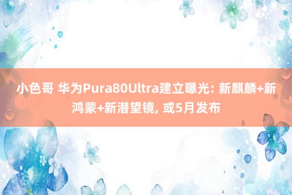 小色哥 华为Pura80Ultra建立曝光: 新麒麟+新鸿蒙+新潜望镜， 或5月发布