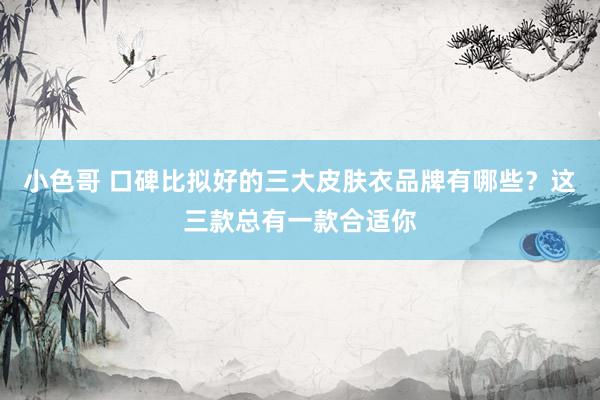小色哥 口碑比拟好的三大皮肤衣品牌有哪些？这三款总有一款合适你