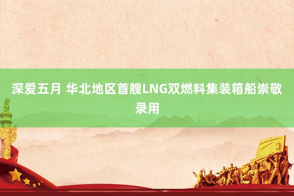 深爱五月 华北地区首艘LNG双燃料集装箱船崇敬录用