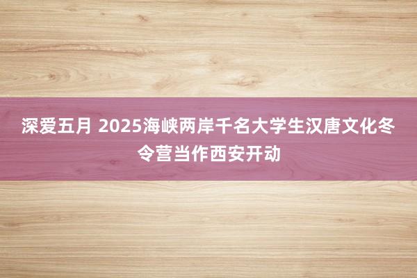 深爱五月 2025海峡两岸千名大学生汉唐文化冬令营当作西安开动