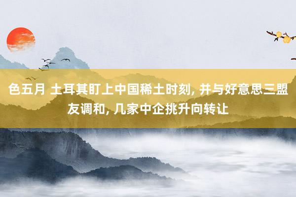 色五月 土耳其盯上中国稀土时刻， 并与好意思三盟友调和， 几家中企挑升向转让