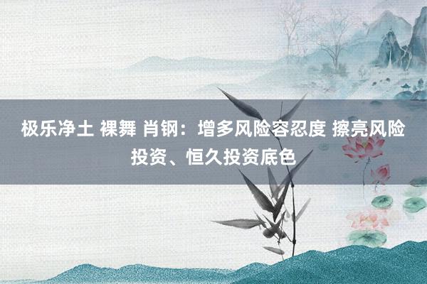 极乐净土 裸舞 肖钢：增多风险容忍度 擦亮风险投资、恒久投资底色