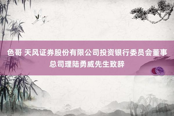 色哥 天风证券股份有限公司投资银行委员会董事总司理陆勇威先生致辞