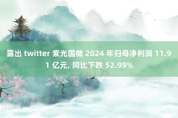 露出 twitter 紫光国微 2024 年归母净利润 11.91 亿元， 同比下跌 52.99%