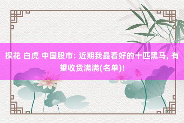 探花 白虎 中国股市: 近期我最看好的十匹黑马， 有望收货满满(名单)!