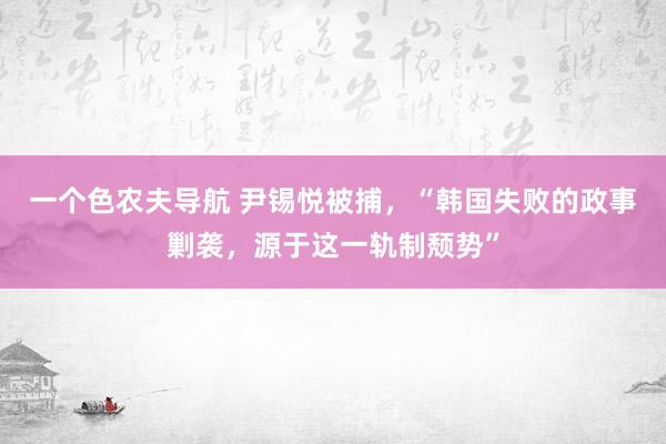 一个色农夫导航 尹锡悦被捕，“韩国失败的政事剿袭，源于这一轨制颓势”