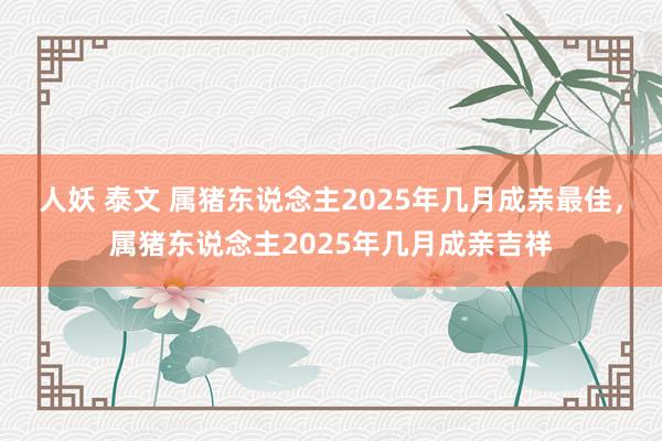 人妖 泰文 属猪东说念主2025年几月成亲最佳，属猪东说念主2025年几月成亲吉祥