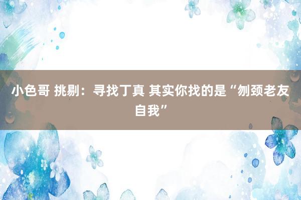 小色哥 挑剔：寻找丁真 其实你找的是“刎颈老友自我”
