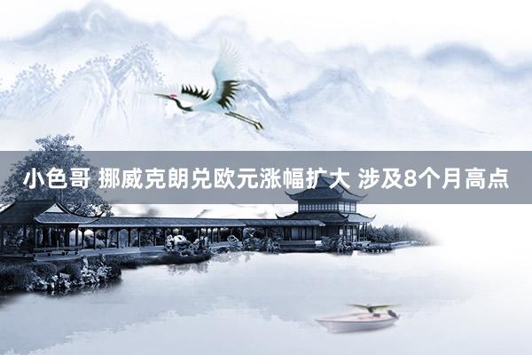 小色哥 挪威克朗兑欧元涨幅扩大 涉及8个月高点