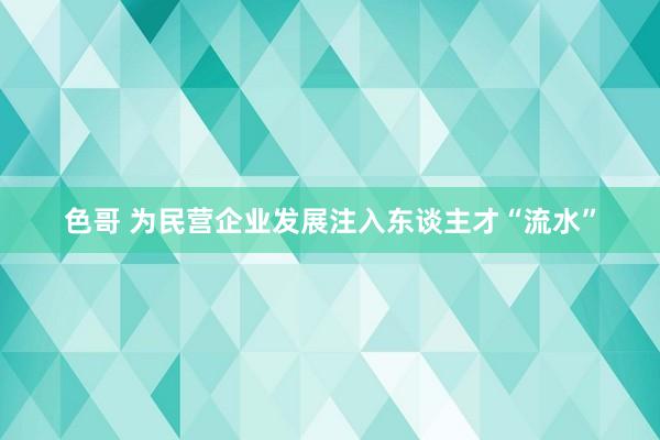 色哥 为民营企业发展注入东谈主才“流水”