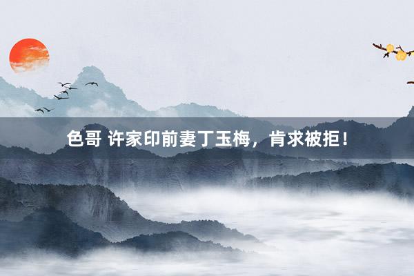 色哥 许家印前妻丁玉梅，肯求被拒！