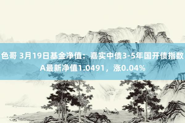 色哥 3月19日基金净值：嘉实中债3-5年国开债指数A最新净值1.0491，涨0.04%