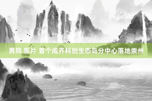 男同 影片 首个成齐科创生态岛分中心落地崇州