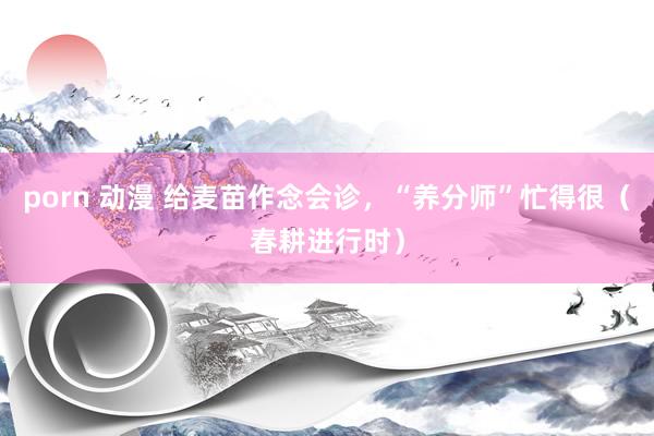 porn 动漫 给麦苗作念会诊，“养分师”忙得很（春耕进行时）